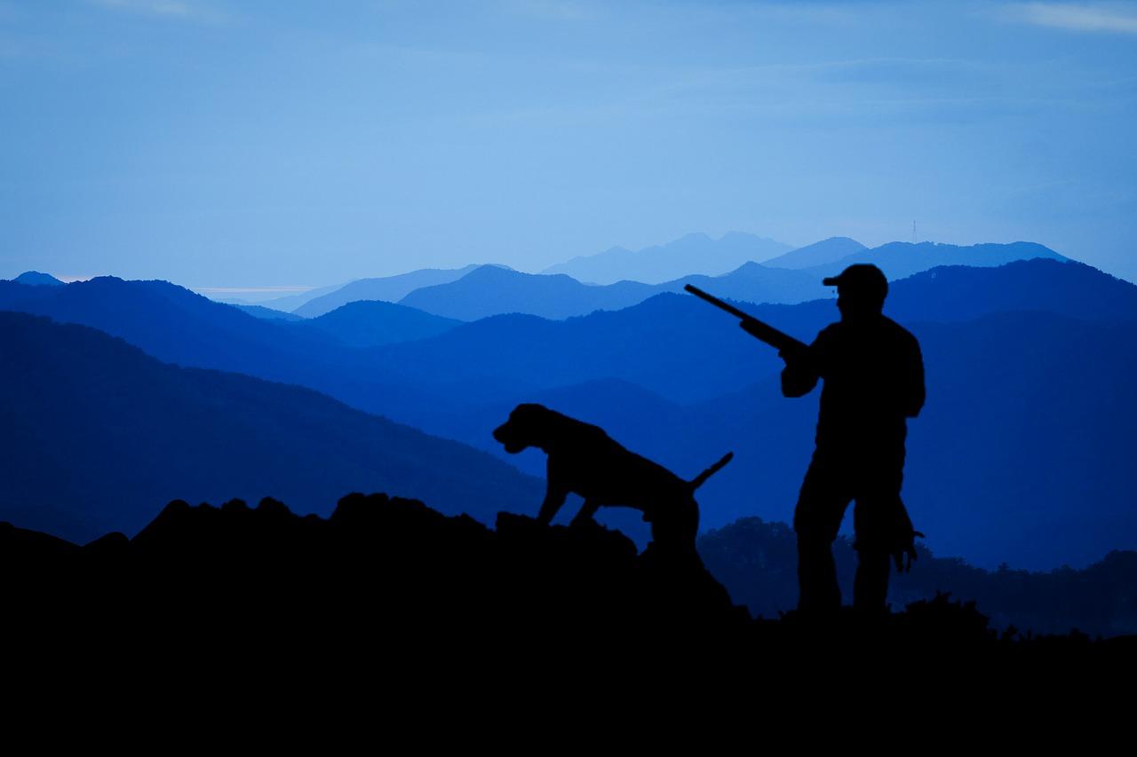 Read more about the article Кучета за лов – най-предпочитани породи част 2