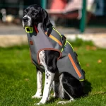 Предпазна жилетка за ловно куче