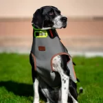 Safety vest for hunting dog