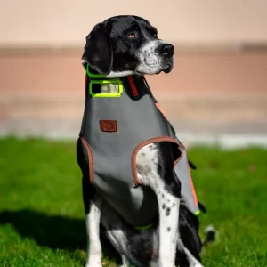 Предпазна жилетка за ловно куче